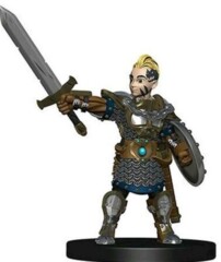 Boy Fighter   Wardling minis